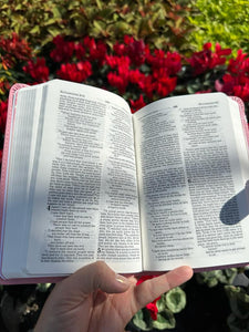 Princess Bible