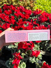 Cargar imagen en el visor de la galería, Princess Bible