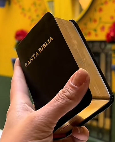 Mini biblia negra