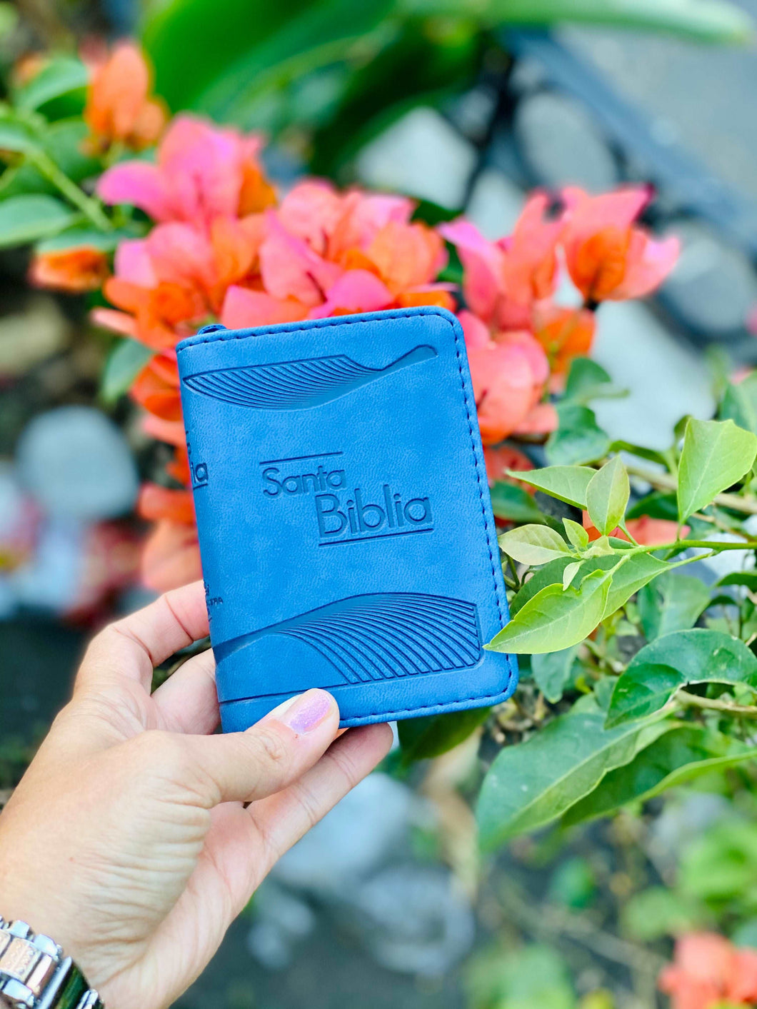 Biblia mini bolsillo Reina Valera 1960