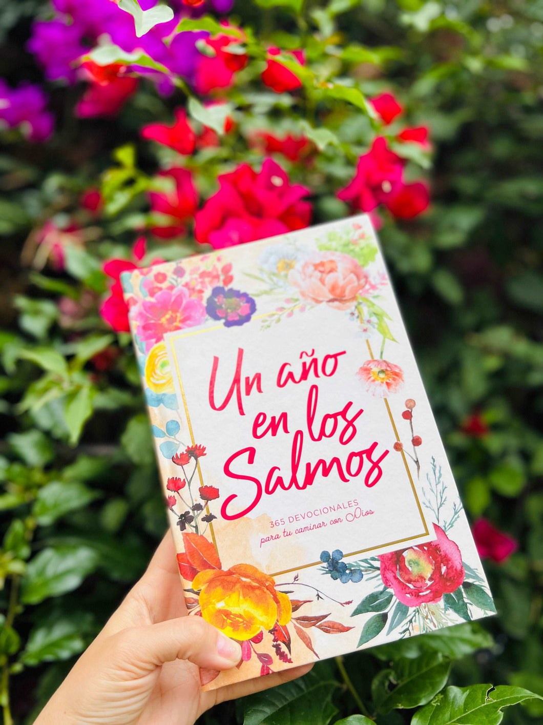 Devocional: Un año en los Salmos