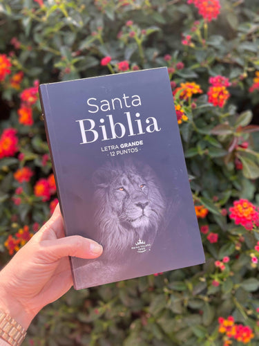 Biblia Reina Valera 1960