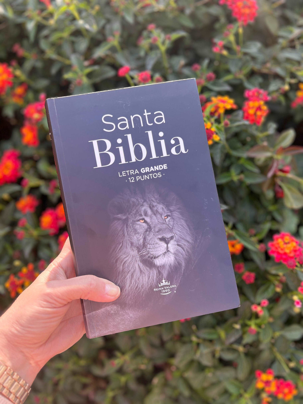 Biblia Reina Valera 1960