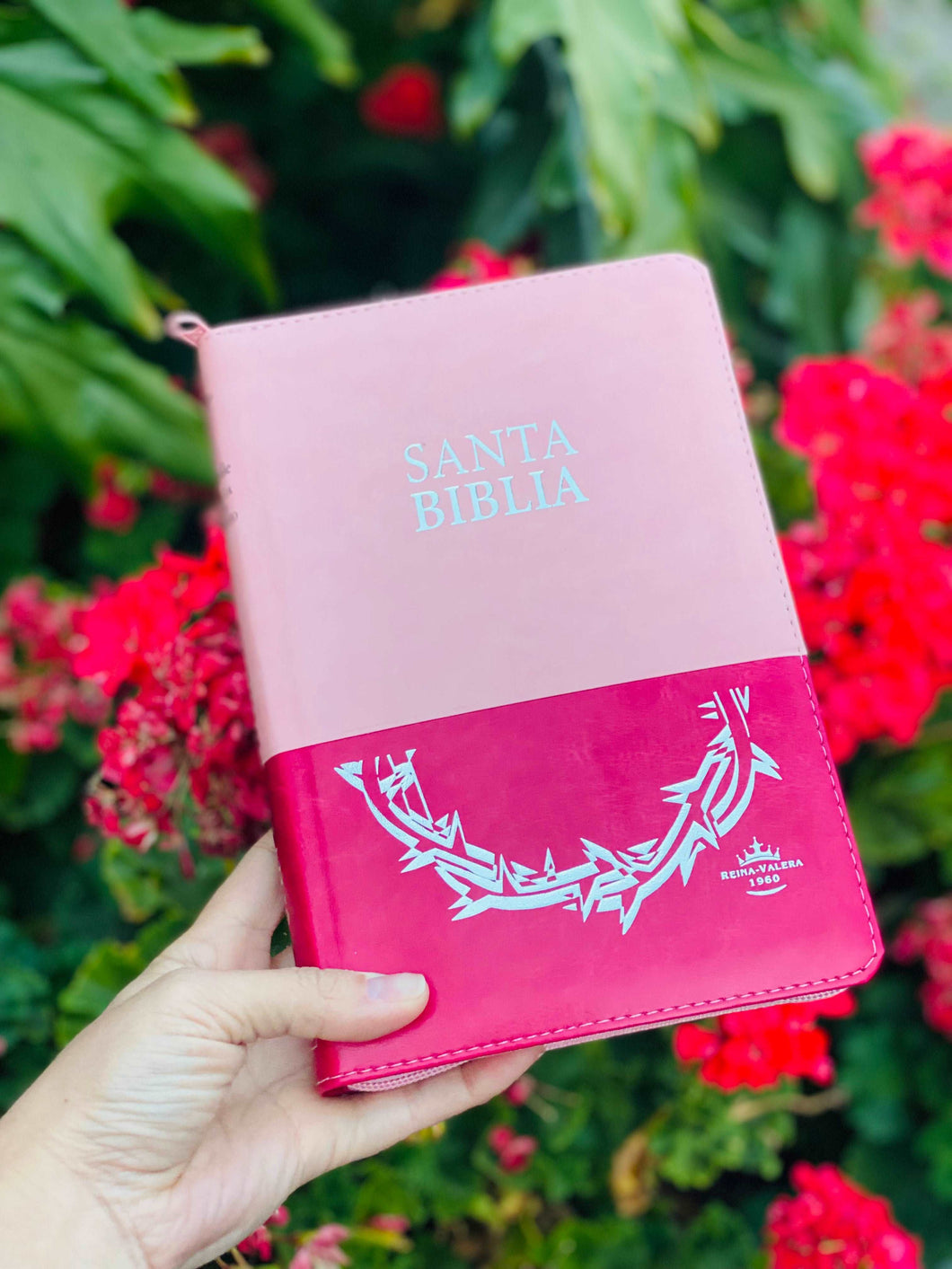 Biblia Reina Valera 1960