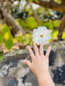 Anillo Ajustable en forma de pez