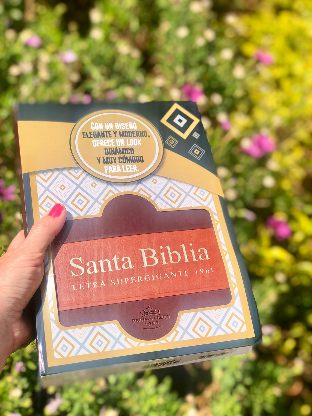 Biblia Reina Valera 1960 Letra Súper Gigante