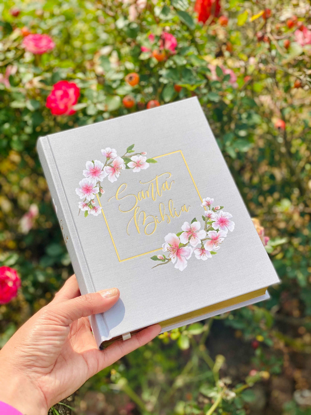 Biblia Edición Creativa NBLA, Apuntes