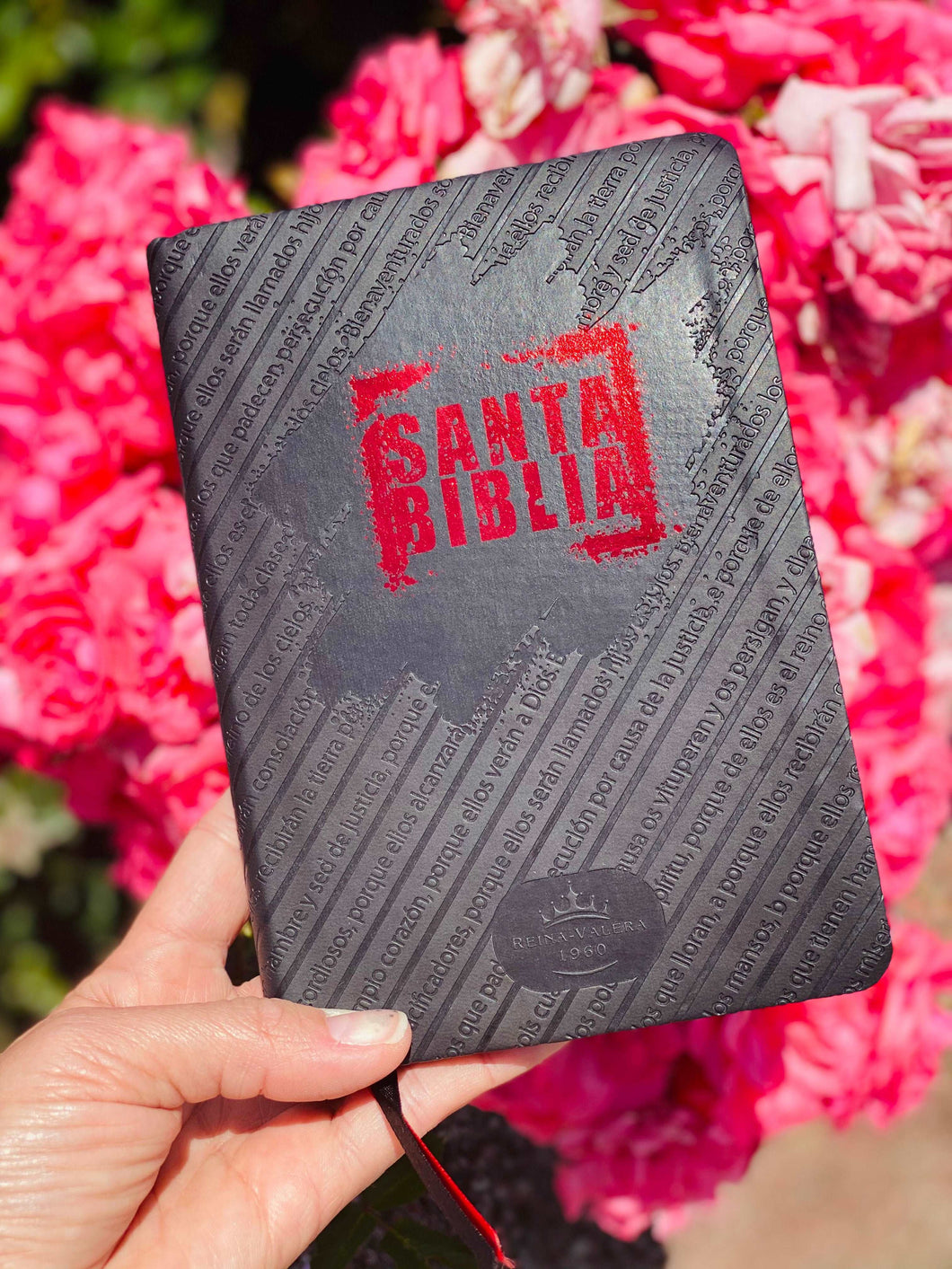 Biblia Reina Valera 1960