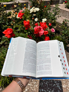 Biblia de estudio Servidores  RVC