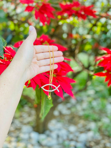 Cadena con símbolo del pez.