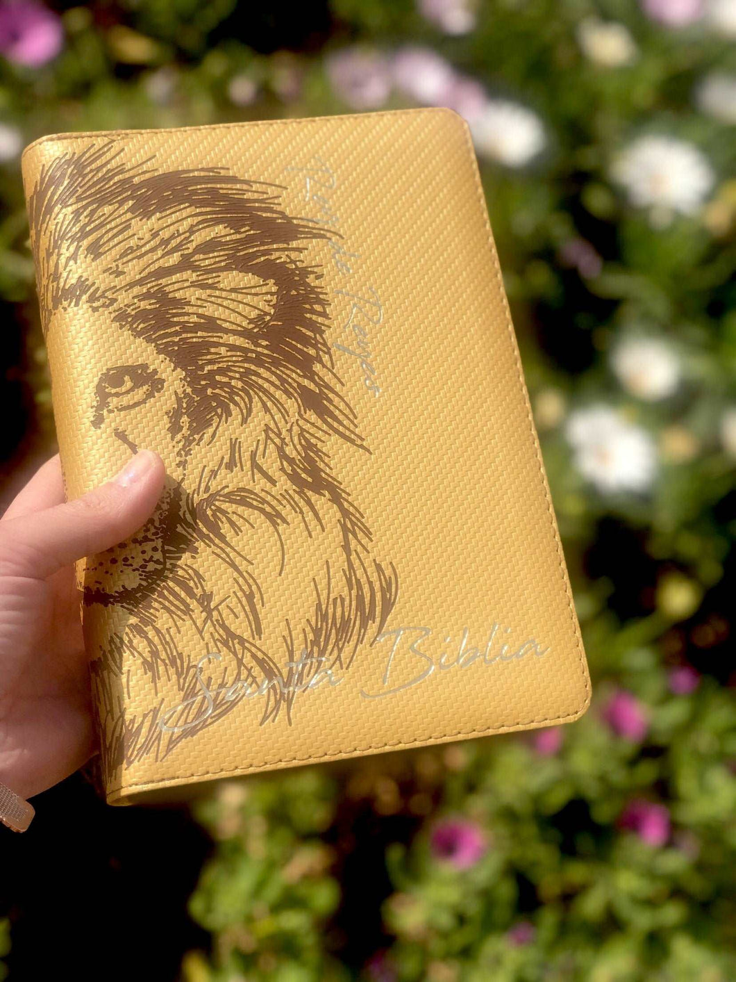 Biblia Reina Valera 1960