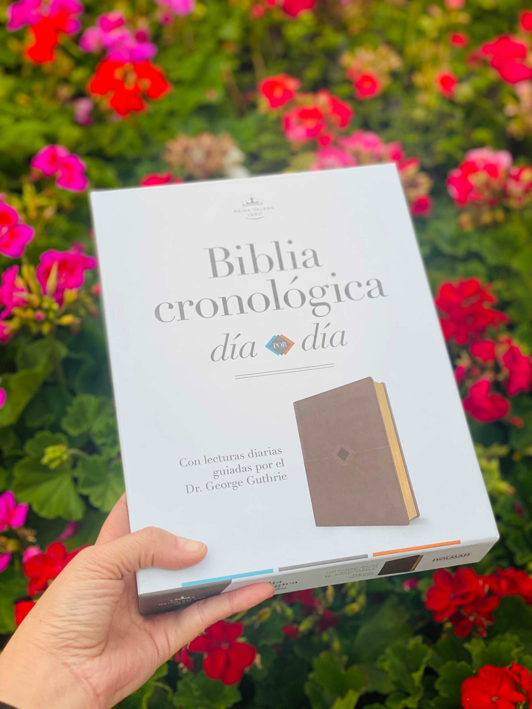 Biblia Cronológica día a día