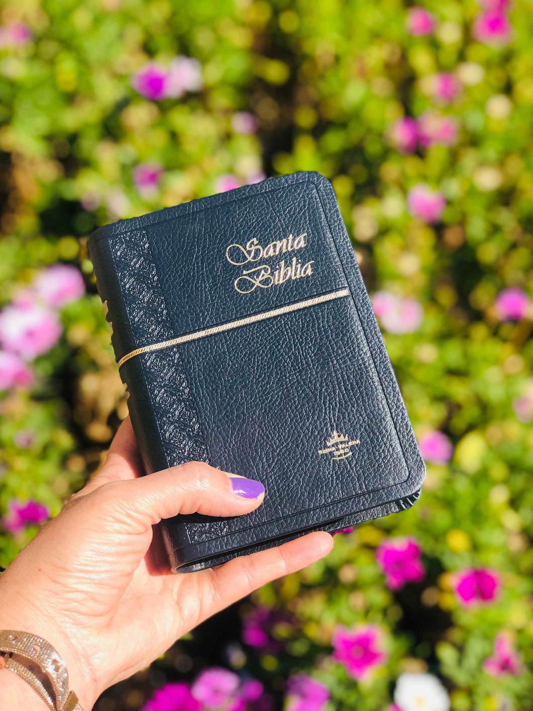 Biblia Reina Valera 1960