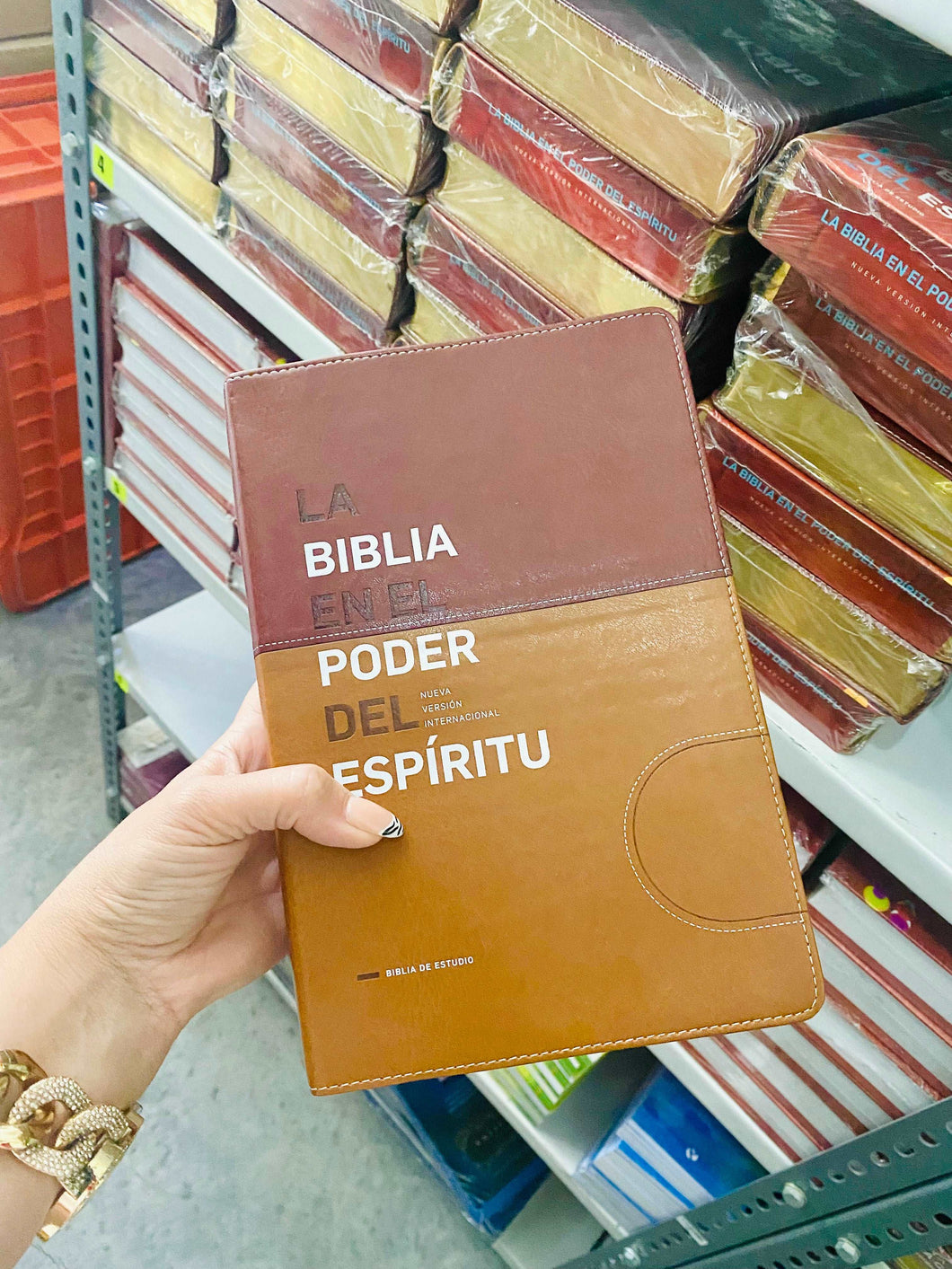 La Biblia en el poder del Espíritu NVI