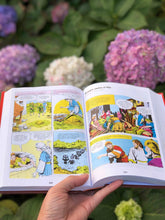 Load image into Gallery viewer, La Biblia Ilustrada en cómics.