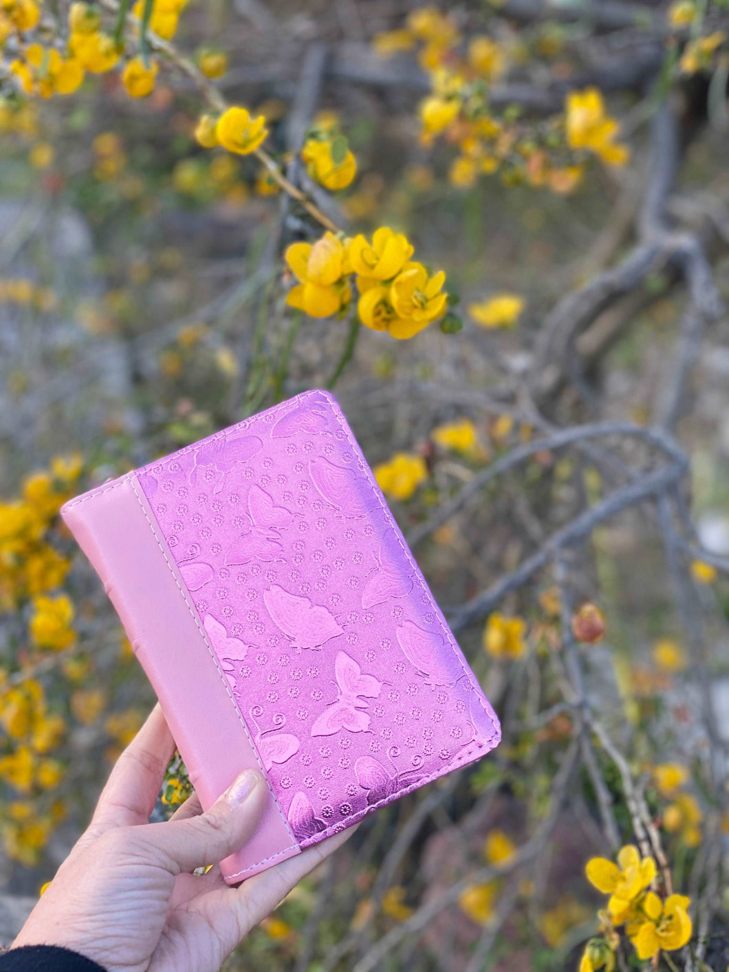 Biblia Reina Valera 1960 con cierre