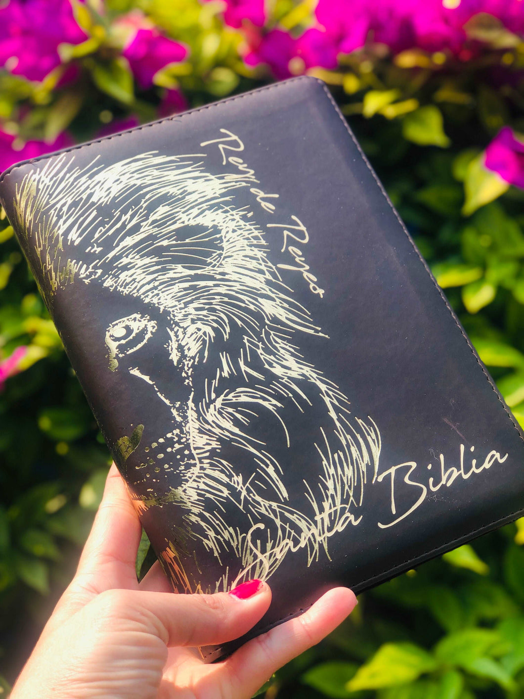 Biblia Reina Valera 1960 para caballero.