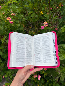 Santa Biblia Reina Valera 1960
