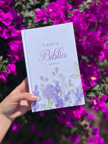 Santa Biblia RVR60