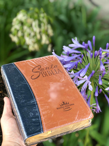 Biblia Para Caballero. Reina Valera 1960