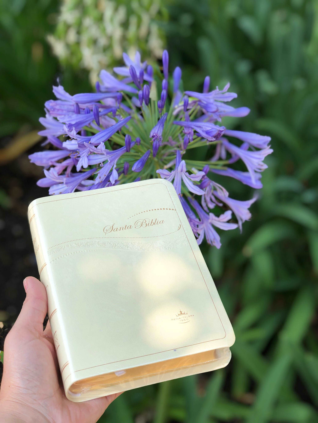 Biblia Para ceremonia de Boda. Reina Valera 1960