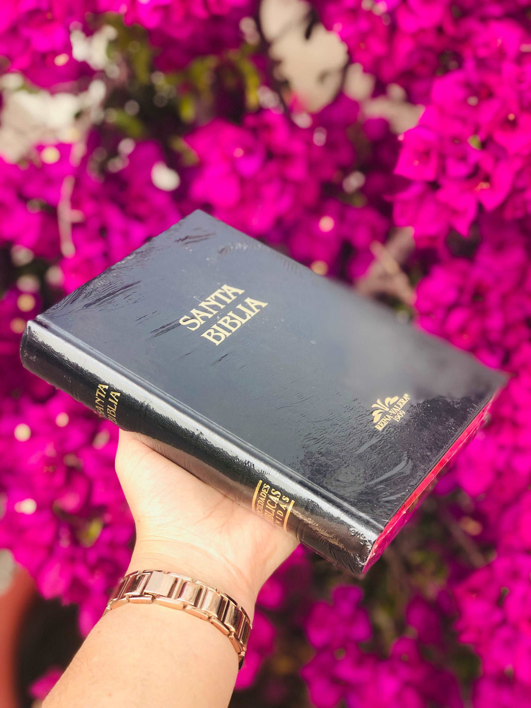 Biblia Reina Valera 1909. Tapa dura.