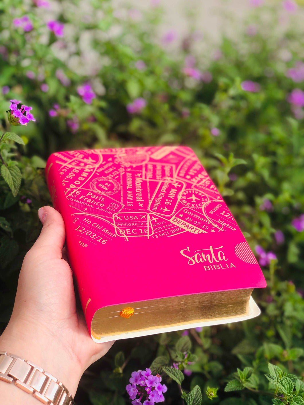 Biblia Reina Valera 1960. Rosa y canto dorado. Letra Grande