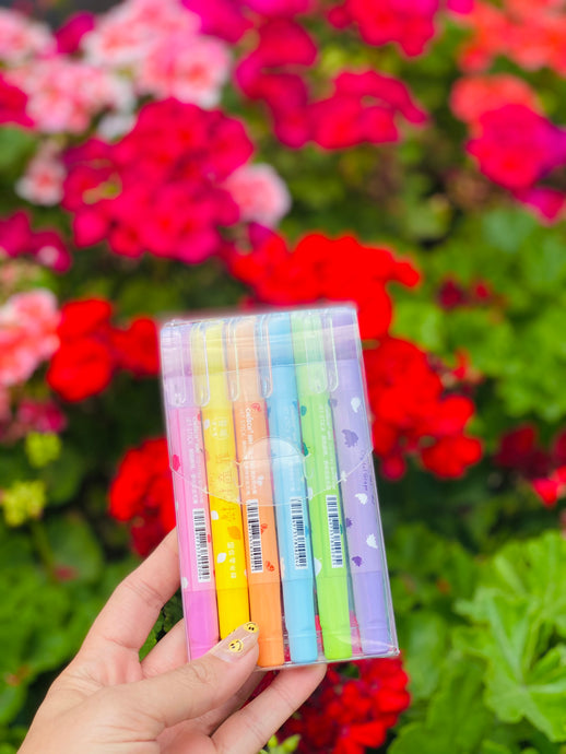 Set de marcatextos de gel para las hojas especiales de la Biblia