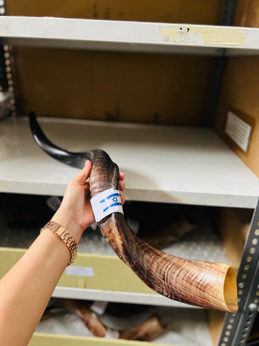 Shofar cuerno de alabanza