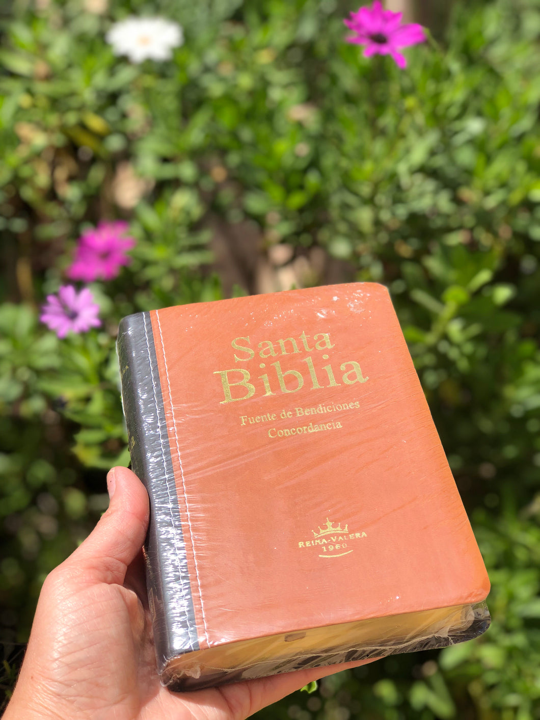 Santa Biblia. Edición Fuente de Bendiciones.