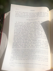 Nuevo Testamento en idioma griego con diccionario. Con