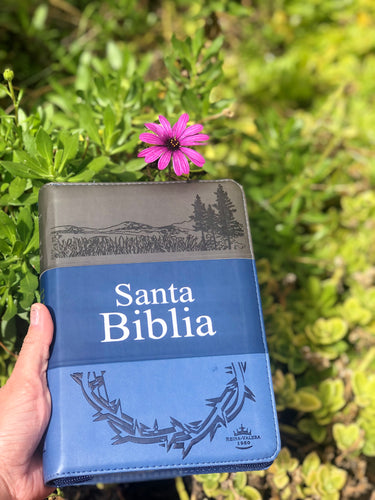 Santa Biblia Reina Valera 1960 para caballero, tritono.