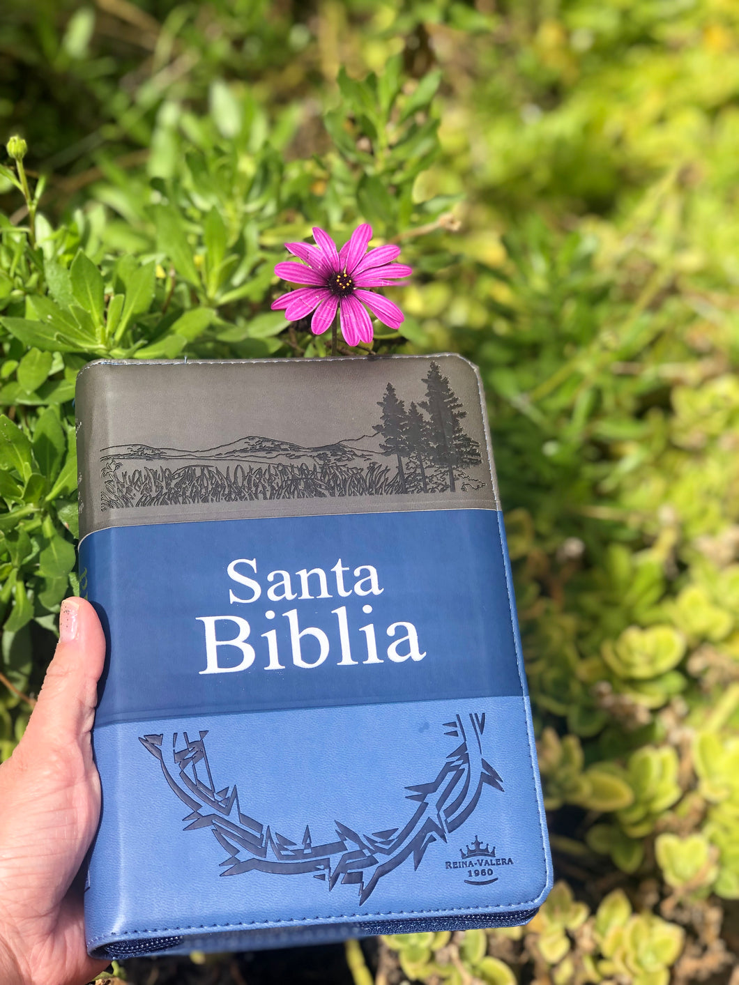 Santa Biblia Reina Valera 1960 para caballero, tritono.