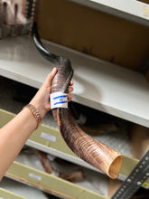 Load image into Gallery viewer, Shofar cuerno de alabanza